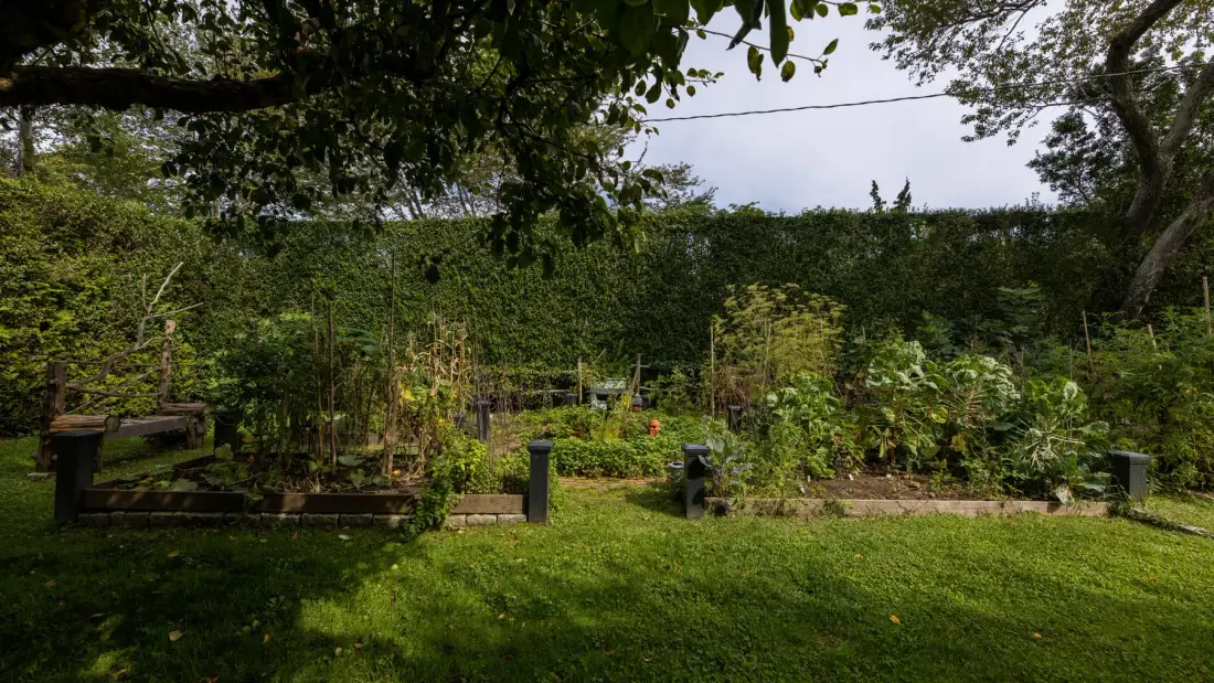 Un jardín frondoso con césped y bancales elevados.