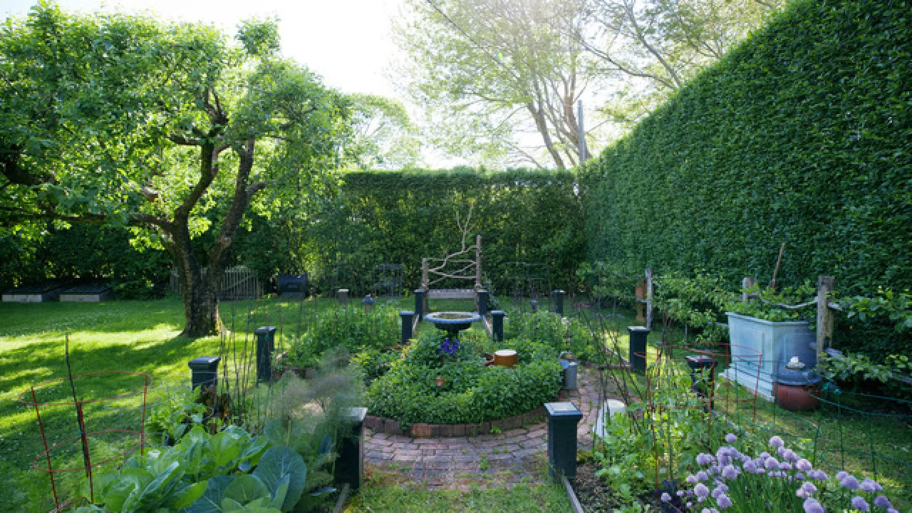 Un patio de jardín con un cantero circular, rodeado de setos y plantas con flores.
