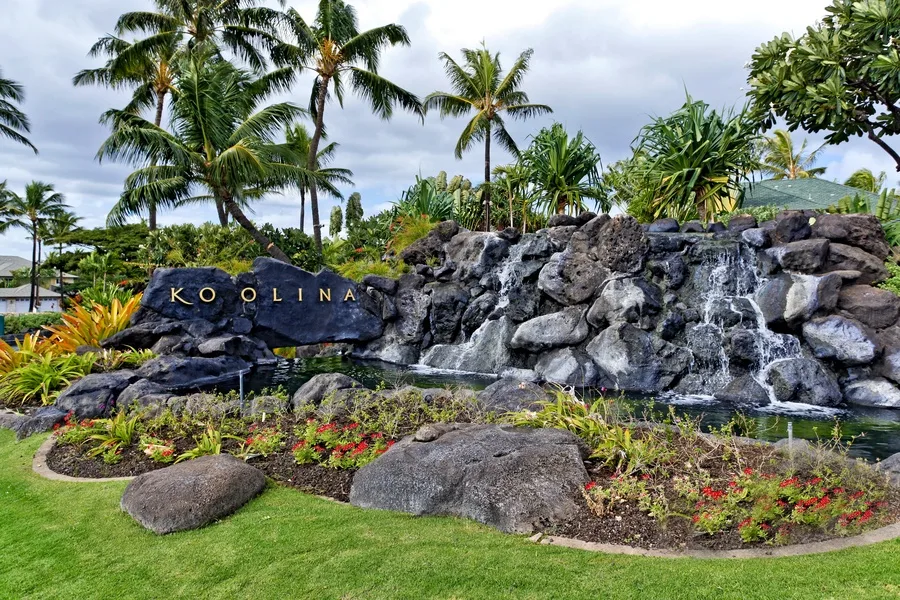 Un jardín paisajístico presenta una cascada rocosa, plantas tropicales y palmeras.