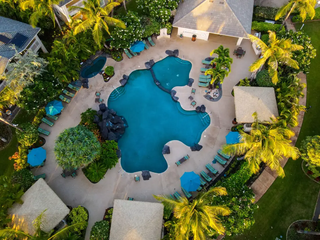 Vista aérea de una piscina rodeada de tumbonas y palmeras.