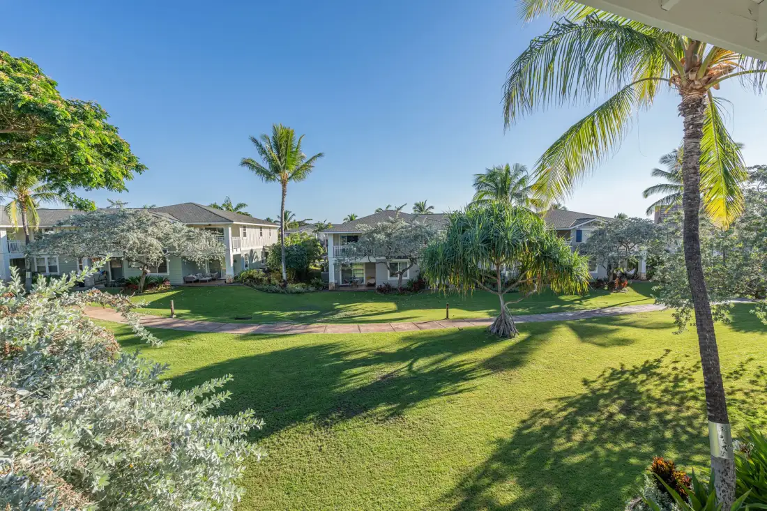 Un patio ajardinado con césped verde, palmeras y edificios residenciales.