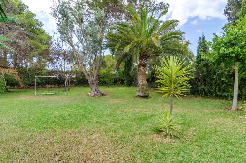A grassy garden with mature trees, palm trees, and a small goal.