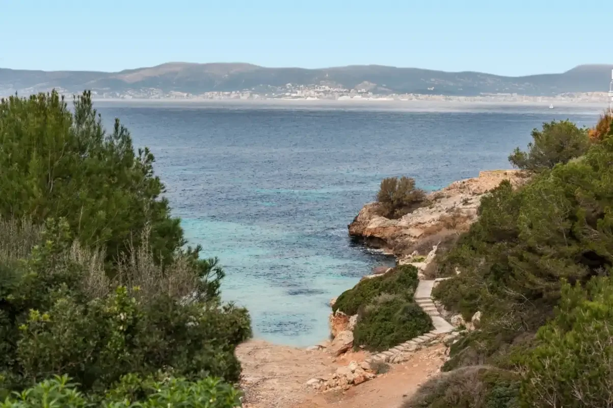 A coastal cove with clear water, rocky shore, and a path through the vegetation.