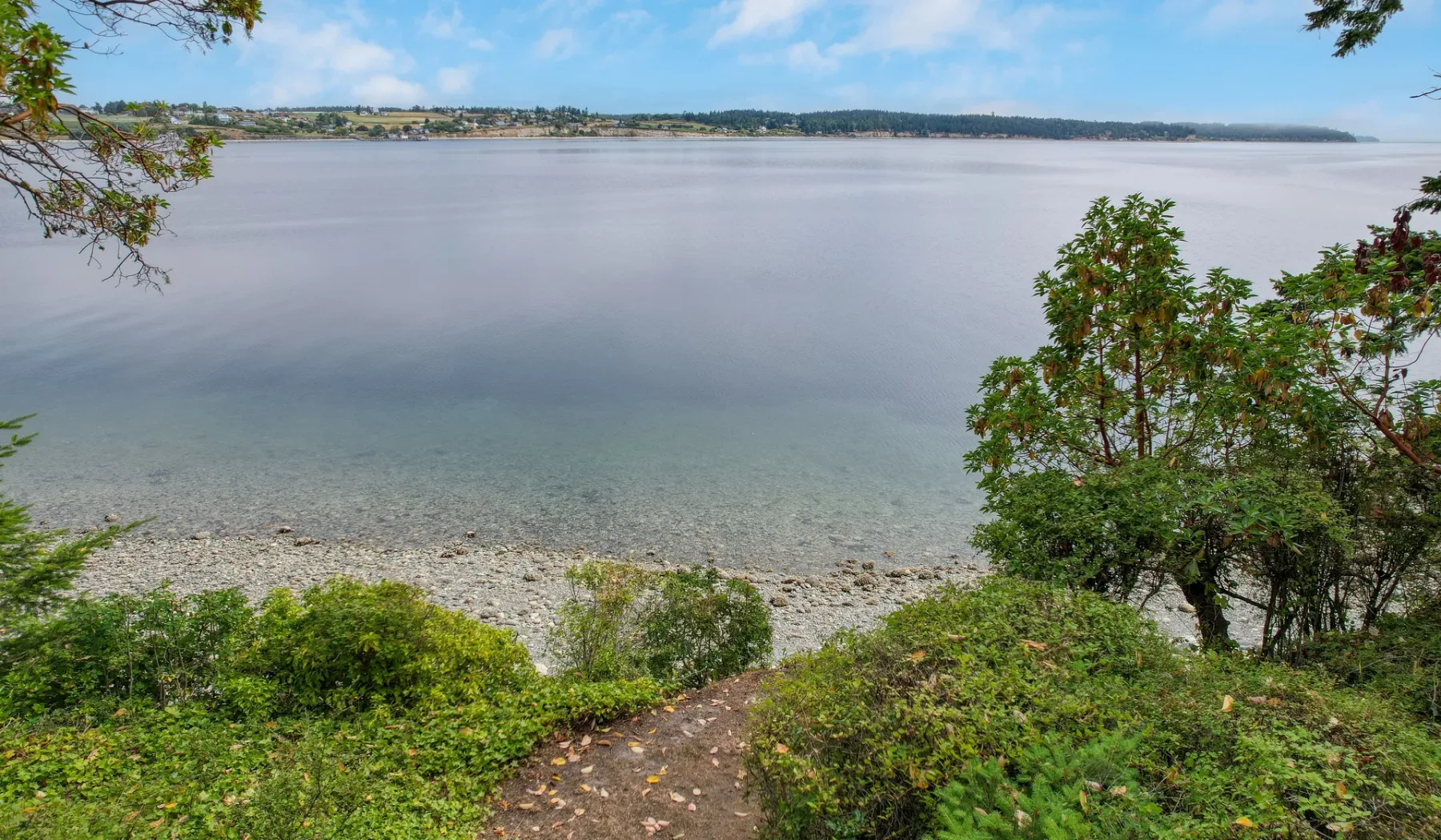 Un sendero junto a la costa atraviesa la vegetación hacia una bahía tranquila.