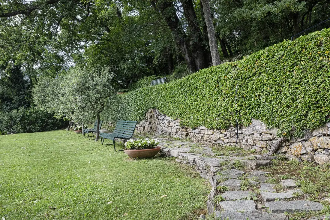 A garden lawn with seating, stone steps, and a leafy wall.