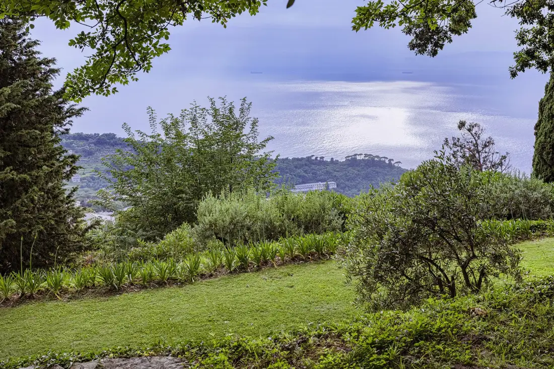 A grassy garden overlooks a lake, framed by trees and shrubs.