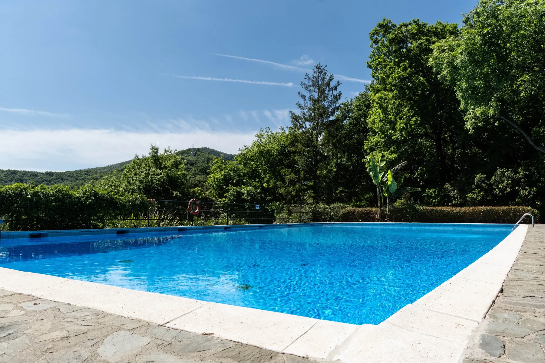 An outdoor swimming pool sits beside trees beneath a clear blue sky.