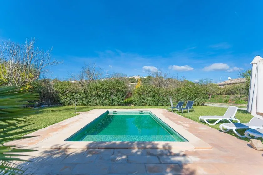 An outdoor swimming pool sits in a landscaped yard with lounge chairs.