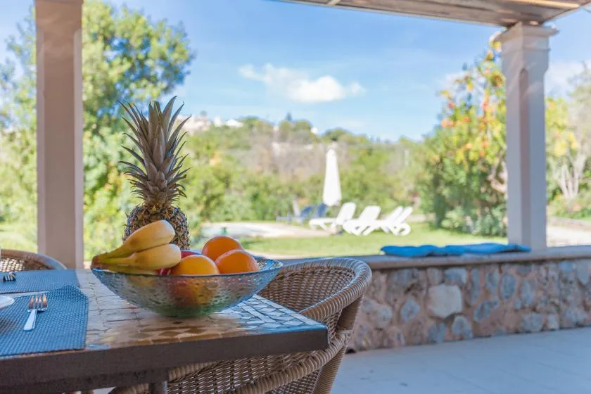 A covered patio dining area overlooks a garden with poolside loungers.