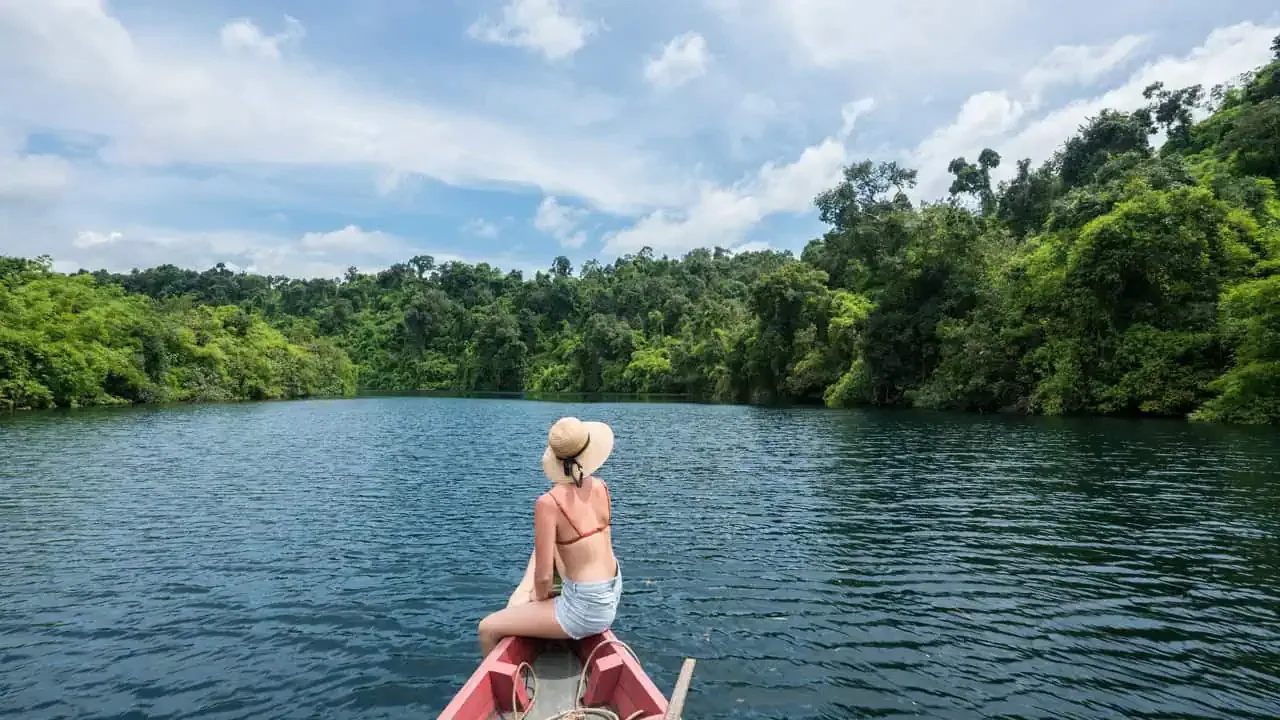 Tatai River and green mangrove forest