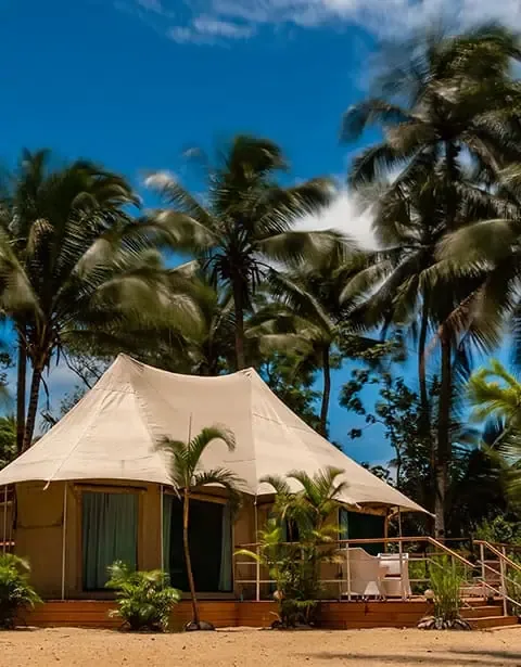 Island family tent among tropical palms
