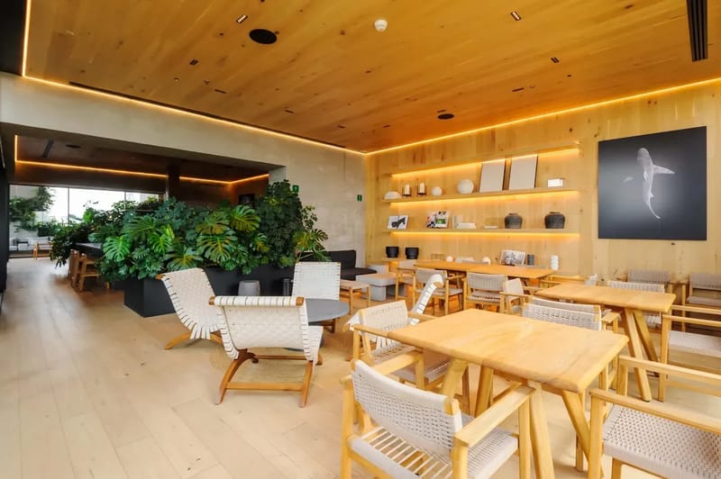 Amazing Loft in the Heart of Juarez