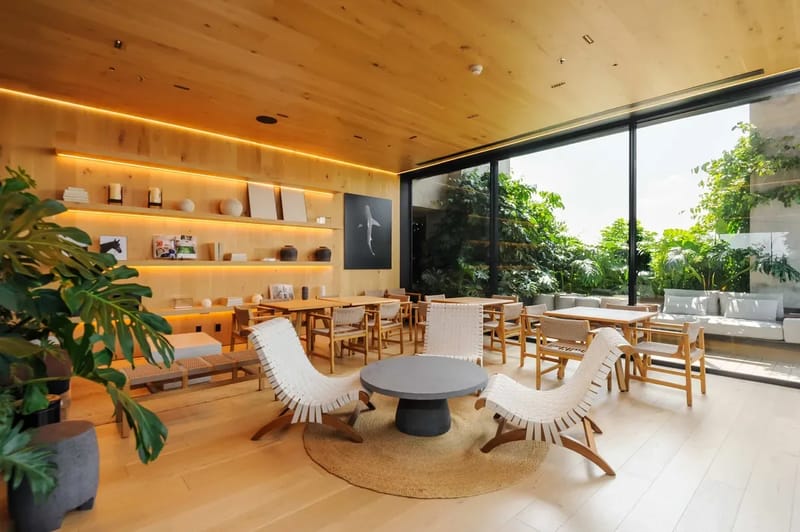 Amazing Loft in the Heart of Juarez