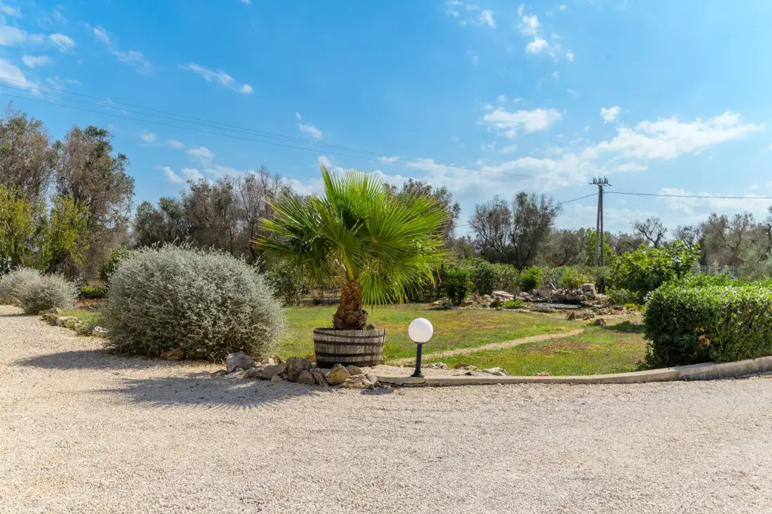 Un jardín ajardinado presenta una palmera, arbustos y un camino de grava bajo un cielo azul.