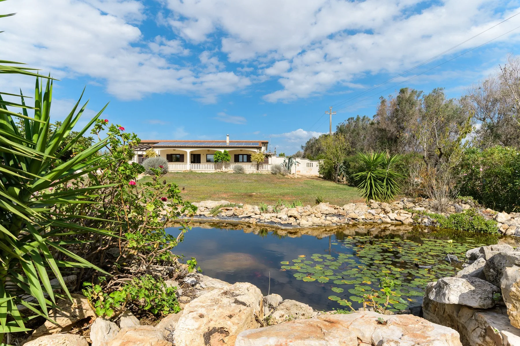 A landscaped pond with lily pads sits in front of a low building.