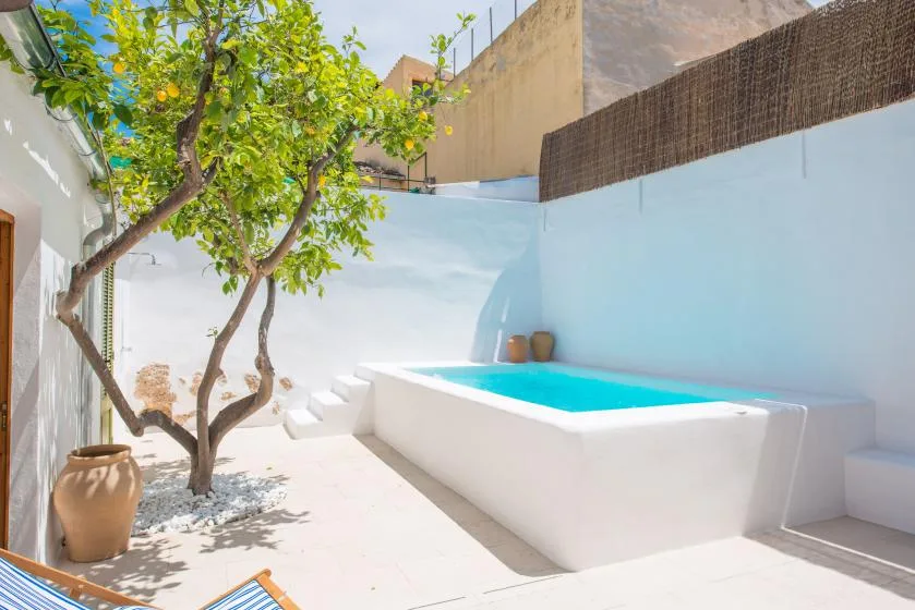 A small courtyard pool sits beside a leafy tree and white walls.