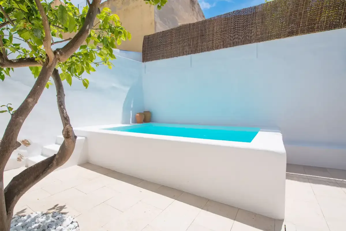 Una pequeña piscina exterior está junto a un árbol frondoso en un patio luminoso.