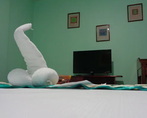 Superior double room