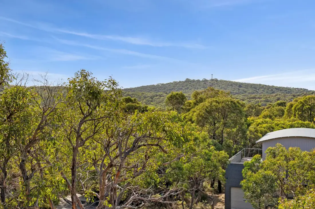A wooded hillside with leafy trees beneath a blue sky.