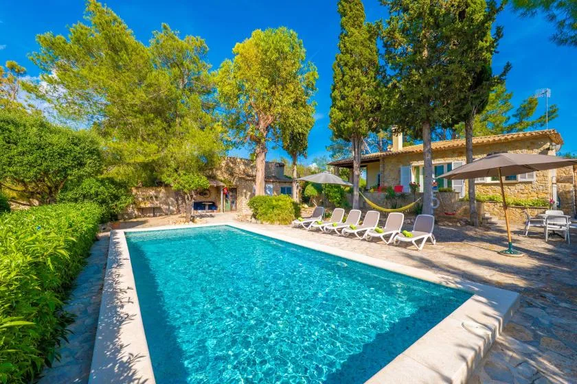 An outdoor swimming pool is surrounded by trees and lounge chairs.