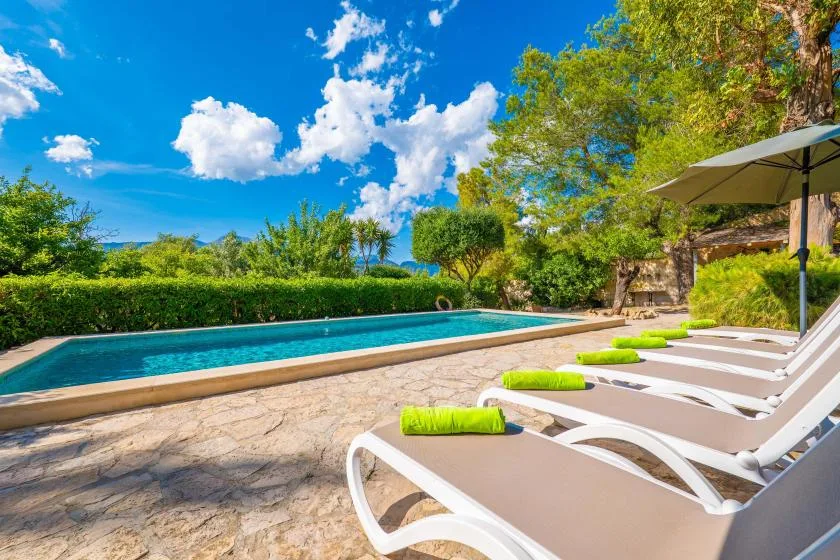 A swimming pool beside a stone patio with lounge chairs and an umbrella.