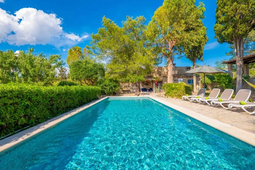 An outdoor swimming pool is bordered by greenery and lounge seating.