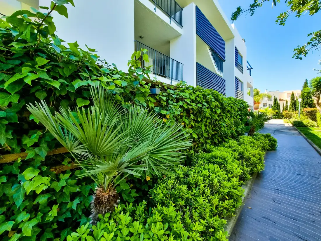 Un sendero pavimentado bordea la vegetación frondosa junto a un edificio blanco.