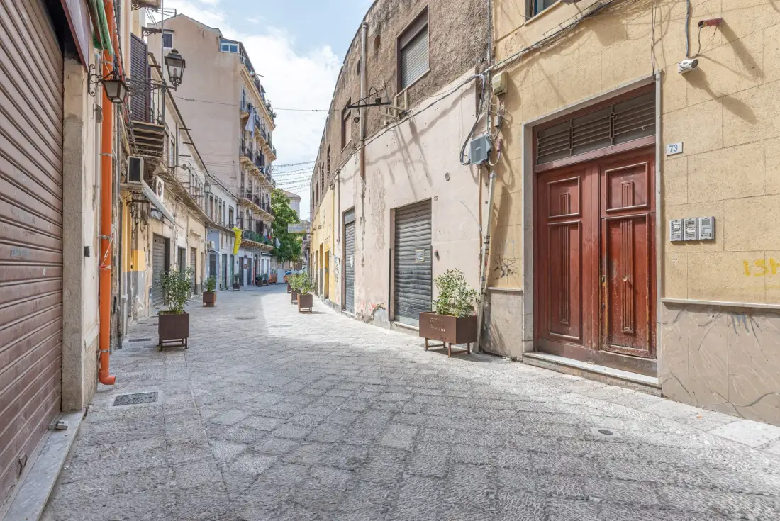 A narrow paved street runs between closely spaced buildings with potted plants along the sides.