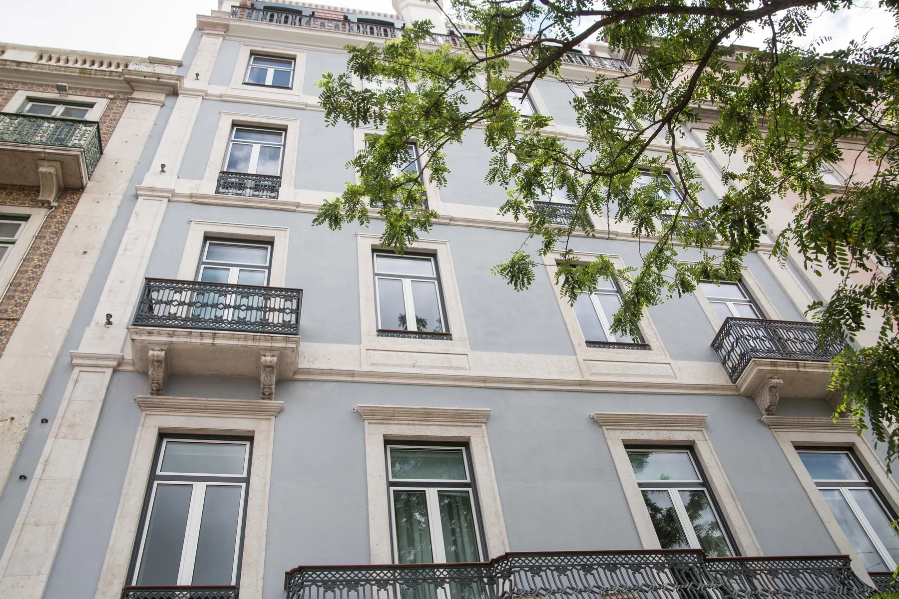 Una fachada de edificio claro de varios pisos, con ventanas y balcones bajo ramas frondosas.