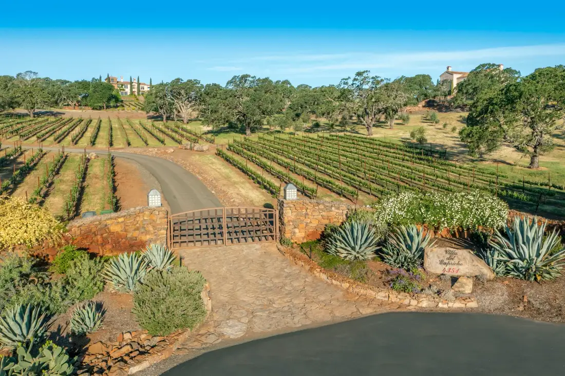 Entrada a un viñedo con un camino de piedra cerrado y hileras de vides.