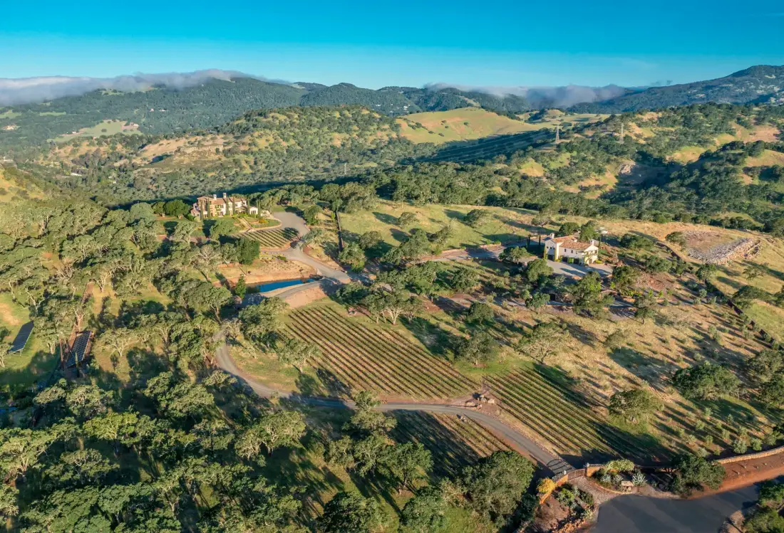 Vista aérea de un paisaje rural de ladera con hileras cultivadas y edificios dispersos.