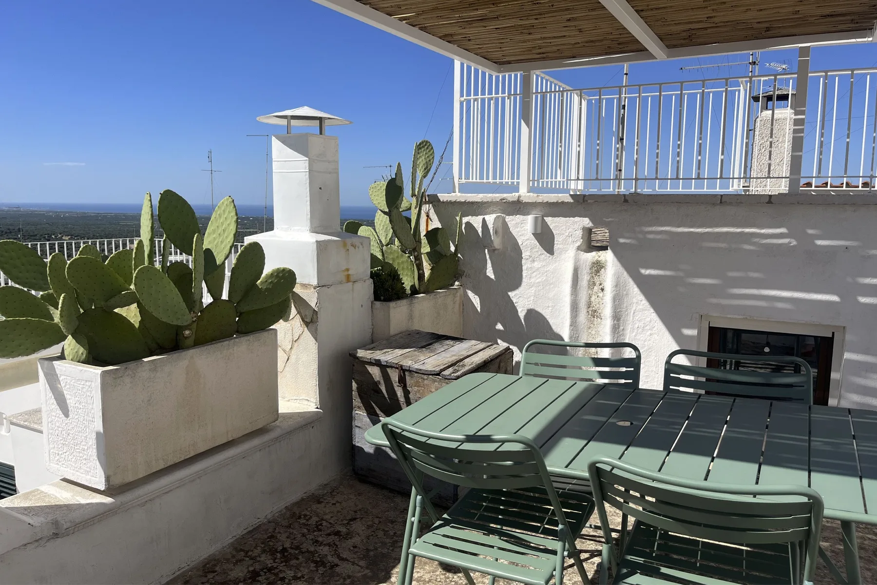 A rooftop terrace has green outdoor seating beside potted cacti.
