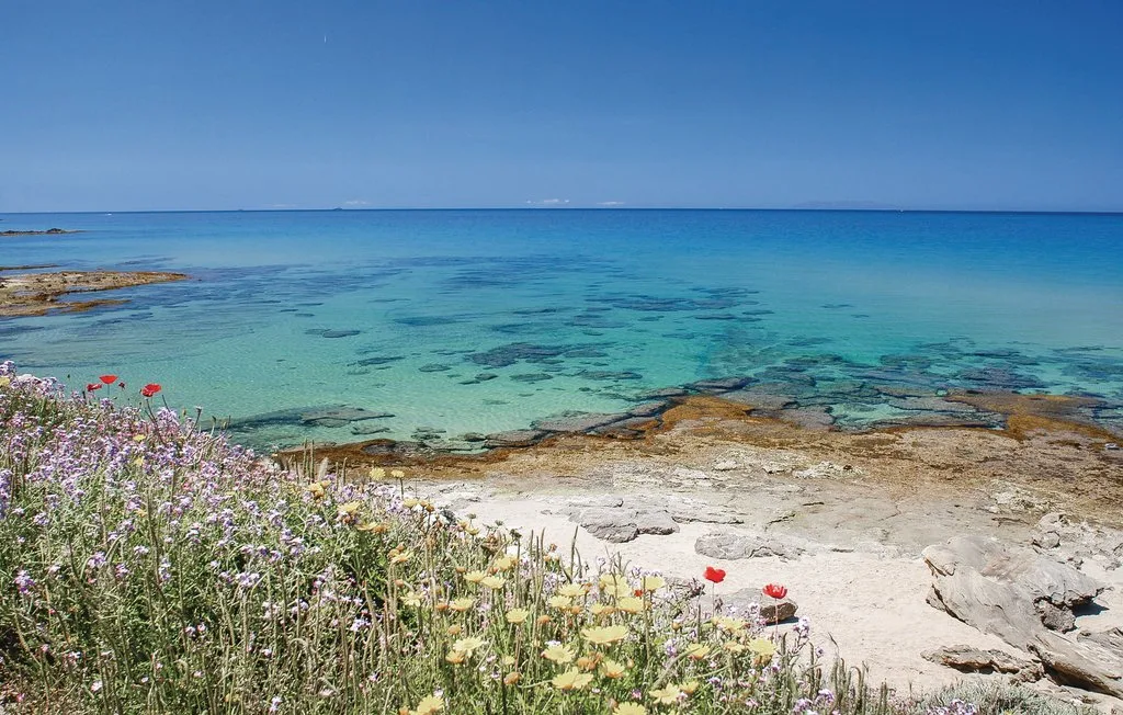 A rocky shoreline with clear turquoise water and wildflowers in the foreground.