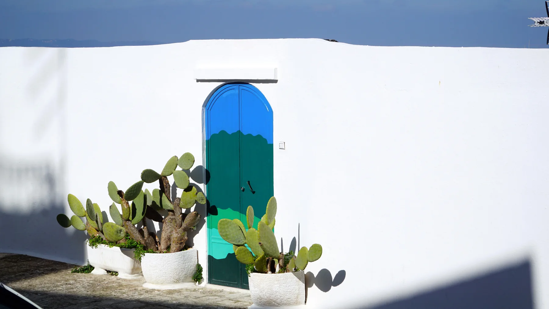 A bright white exterior wall features a turquoise arched door and potted cacti.
