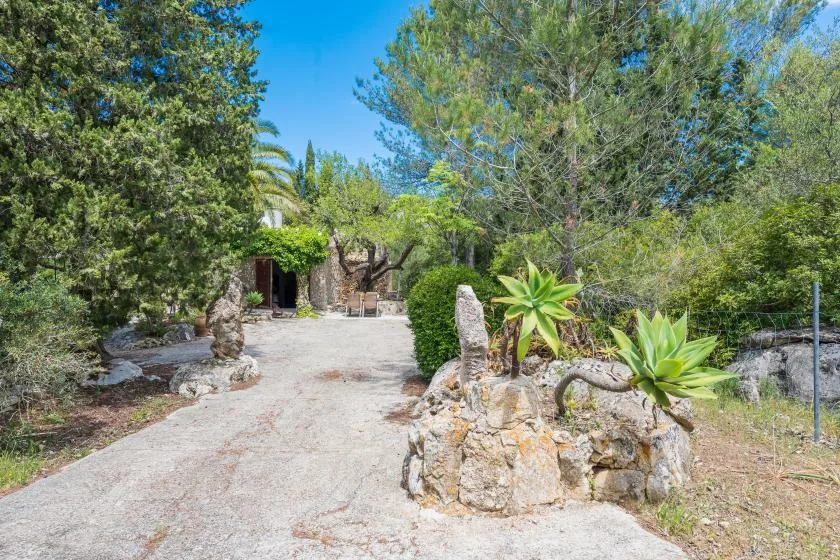 A paved garden path leads toward a small stone entrance among trees and plants.