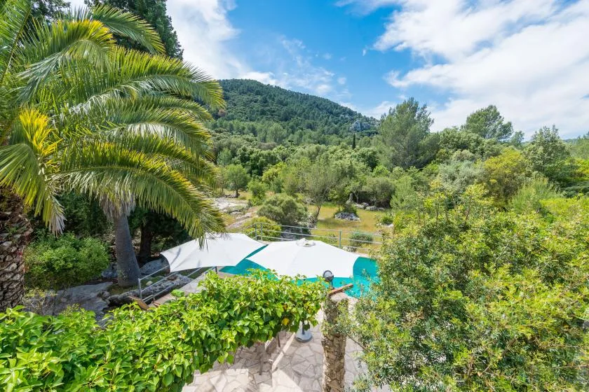 A swimming pool sits among leafy trees, with a forested hill in the background.