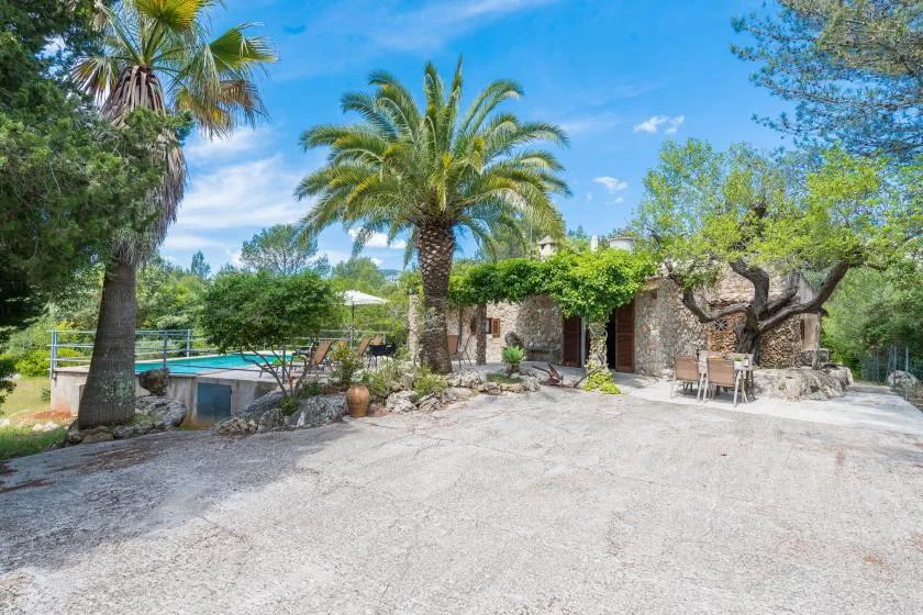 A sunny courtyard with a swimming pool, palm trees, and a stone building.