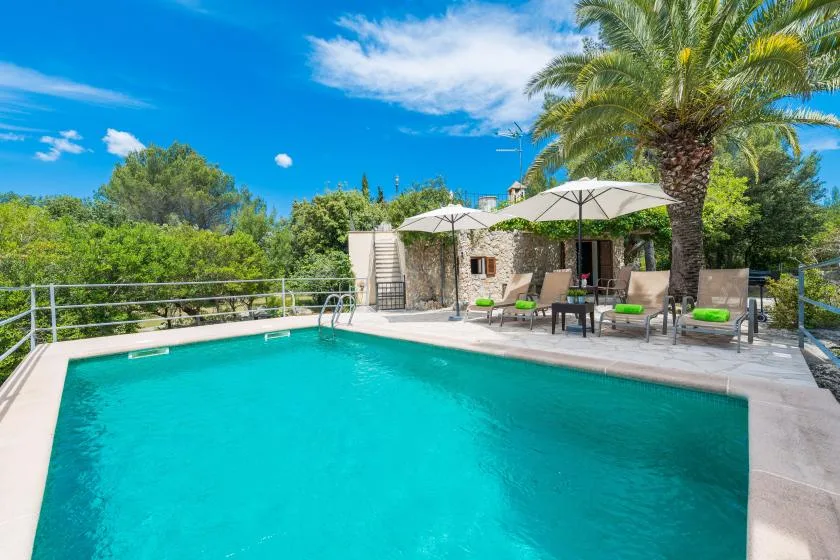 An outdoor swimming pool beside a patio with shaded seating and a palm tree.