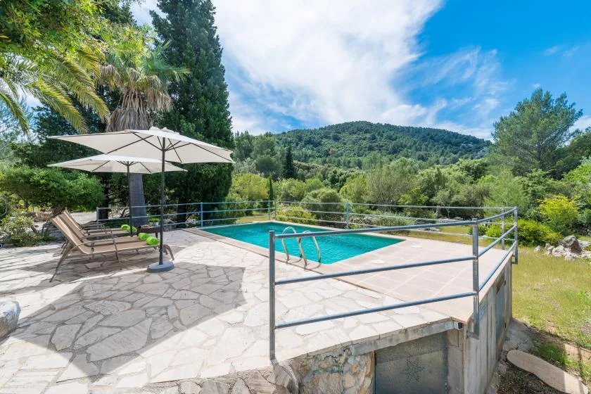 An outdoor swimming pool beside a stone-paved patio, surrounded by trees.