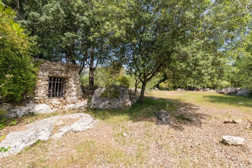 A wooded outdoor clearing with a small stone structure and scattered rocks.