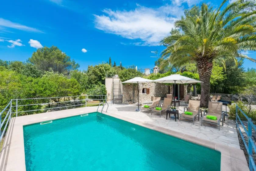 An outdoor swimming pool beside a shaded patio with seating and a palm tree.