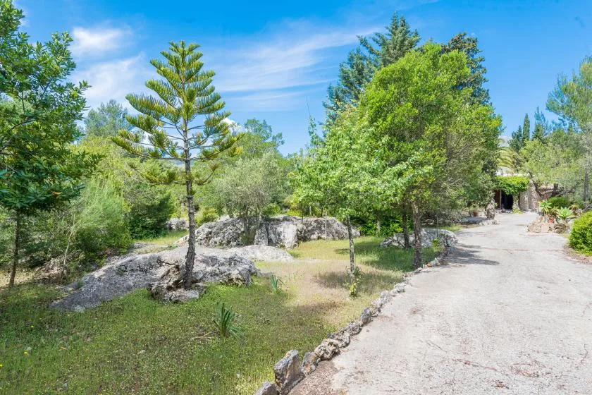 A tree-lined gravel path runs through a green outdoor landscape.