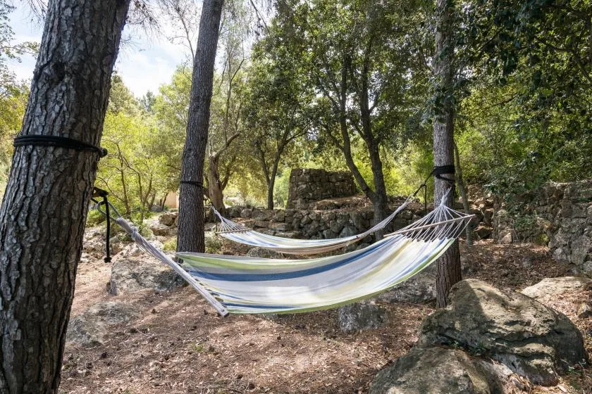 Hammocks hang among trees in a shaded outdoor area.