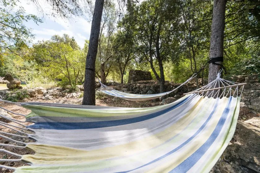 Outdoor hammock seating hangs between trees in a shaded wooded setting.