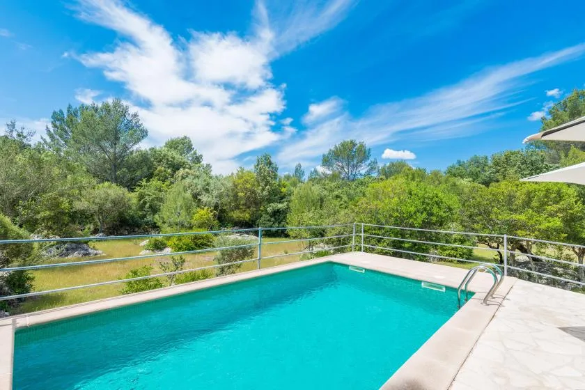 An outdoor swimming pool bordered by a pale paved deck and green trees.