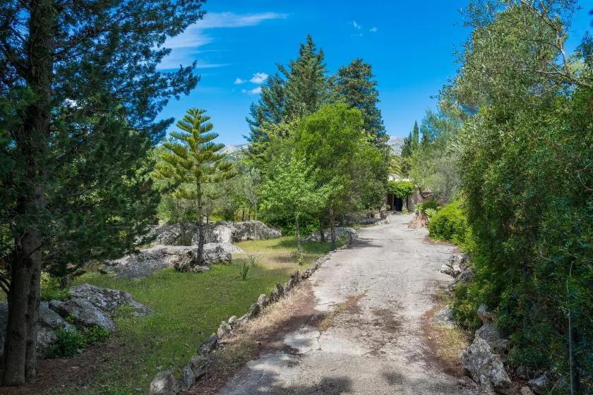 A gravel path winds through a green, tree-filled outdoor setting.