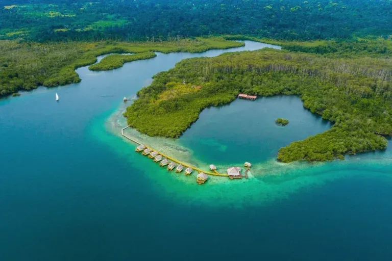 Vista aérea del alojamiento y los manglares en Bocas del Toro