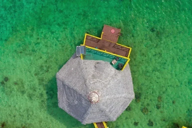 Techo de palma de un palafito rodeado de agua verde