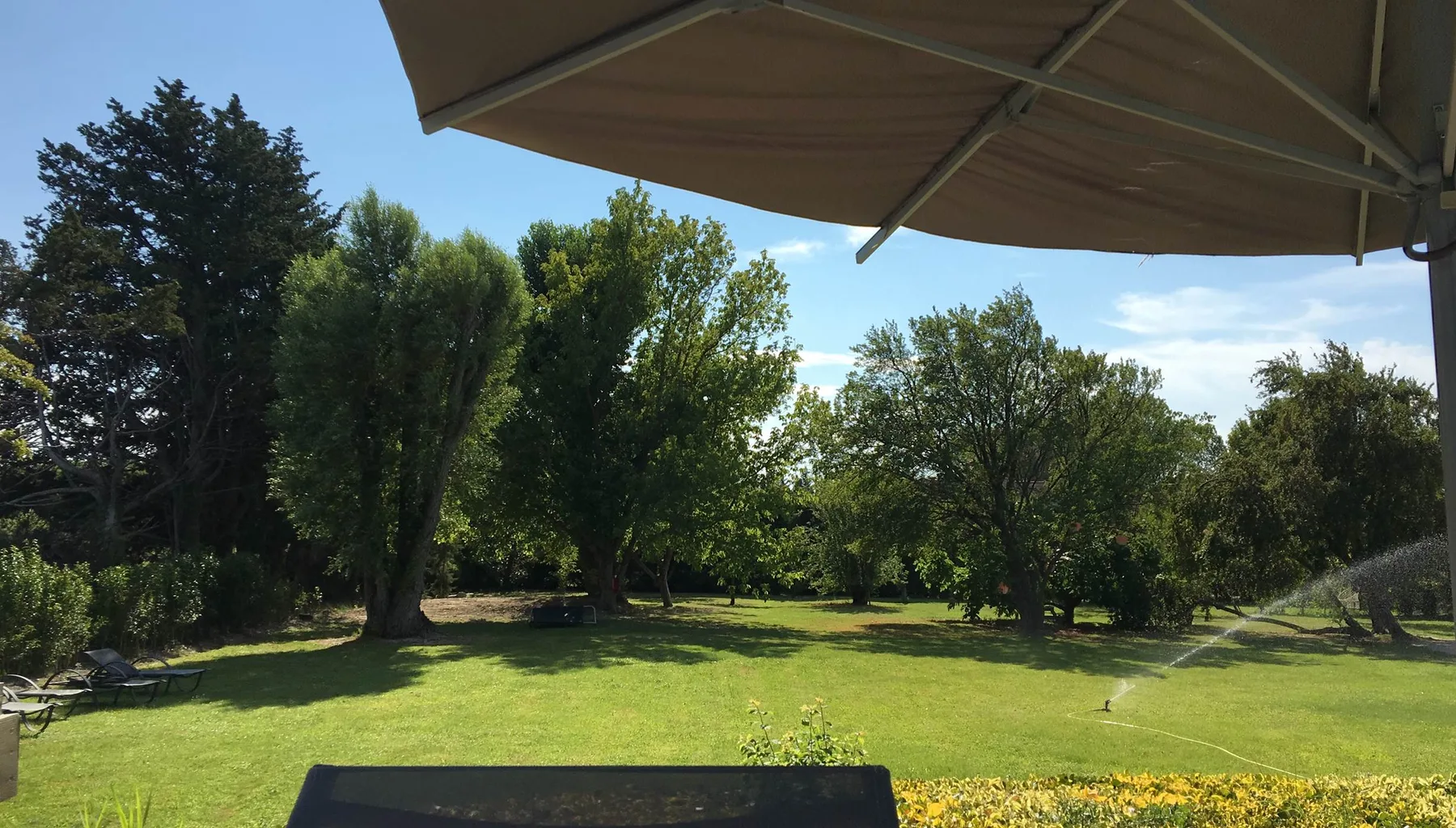 Property view