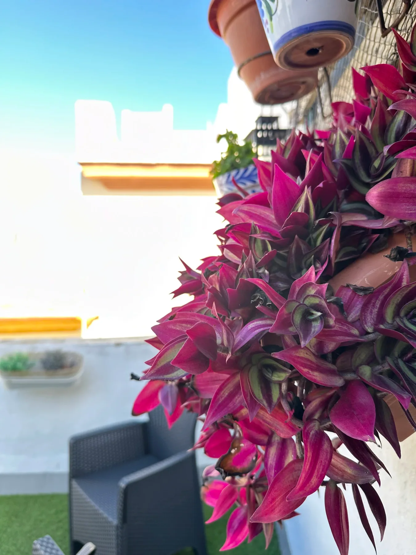 Detalle de una planta